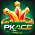 PKACE Game Download 每 Complete Guide, And Installation 2026 1 PKACE Game 每 Latest Version APK Download, Features and Gameplay Guide